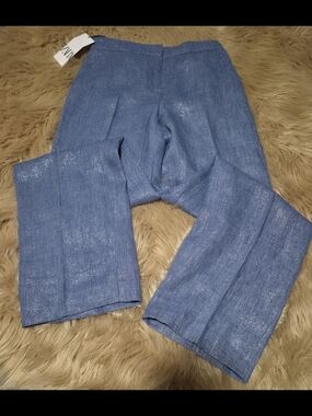 Zara Wide Leg Metallic Hue Style Pants